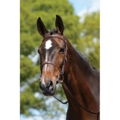 Kincade Plain Raised Bridle - Brown