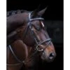 Amigo Deluxe Bridle - Black -Weatherbeeta Store 347475 800 800