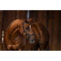 Rambo Micklem Original MultiBridle - Brown