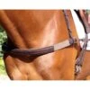 Nunn Finer Jumper Breastplate - Havana/Zinc -Weatherbeeta Store 403795 800 800