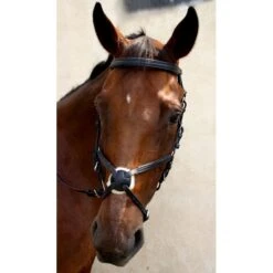 Nunn Finer Fairhill Figure 8 Event Bridle - Black/Zinc -Weatherbeeta Store 404416 800 800