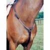 Nunn Finer Elastic Hunting Breastplate - Havana/Zinc -Weatherbeeta Store 406236 800 800
