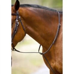 Nunn Finer Standing Martingale - Black/Brass -Weatherbeeta Store 407361 800 800