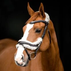 Horze Rome Snaffle Bridle - Dark Brown -Weatherbeeta Store 417824 800 800