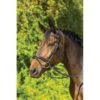 Shires Avignon Aspen Bridle - Black -Weatherbeeta Store 420414 800 800