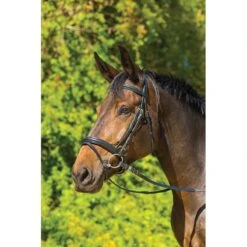 Shires Avignon Aspen Bridle - Black