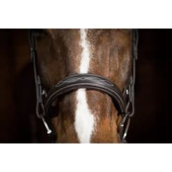 Ovation ATS Fancy Raised Wide Noseband Bridle - Dark Brown