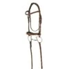 Ovation Manchester Anatomic Bridle - Brown -Weatherbeeta Store 438201 800 800
