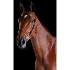Collegiate Comfitec Fancy Stitch Bridle - Brown
