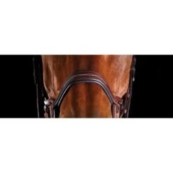 Collegiate Comfitec Fancy Stitch Bridle - Brown 7 Collegiate Comfitec Fancy Stitch Bridle - Brown -Weatherbeeta Store 540562 800 800