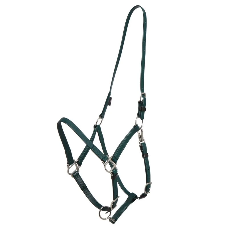 Zilco Deluxe Endurance Bridle/Halter Cavesson Only - Hunter Green 3 Zilco Deluxe Endurance Bridle/Halter Cavesson Only - Hunter Green