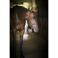 Perri's Pro Fancy Stitched Hunter Bridle - Havana -Weatherbeeta Store 591900 800 800