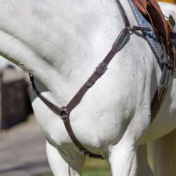 Equinavia Valkyrie Elastic Breastplate - Chocolate Brown -Weatherbeeta Store 608056 800 800