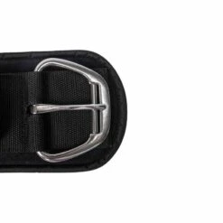 Back On Track Gentle Touch Western Staight Cinch - Black -Weatherbeeta Store 621412 800 800
