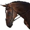 M. Toulouse Amelie Eventing Bridle - Chocolate/Cognac Padding -Weatherbeeta Store 631068 800 800