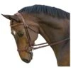 M. Toulouse Hybrid Jumper Bridle - Chocolate/Cognac -Weatherbeeta Store 631134 800 800