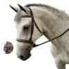 M. Toulouse Liza Hunter Derby Bridle - Chocolate -Weatherbeeta Store 631362 800 800