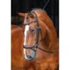 Shires Velociti Rapida Ergonomic Curved Flash Bridle - Havana 1 Shires Velociti Rapida Ergonomic Curved Flash Bridle - Havana -Weatherbeeta Store 665882 800 800