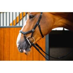 Rambo Micklem 2 Deluxe Competition Bridle W/Reins - Black -Weatherbeeta Store 665936 800 800